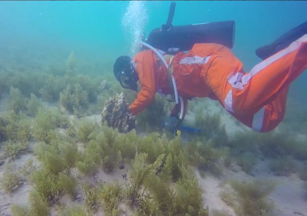 J9集团直营·(中国)官方网站