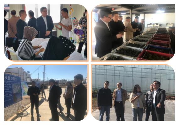 J9集团直营·(中国)官方网站