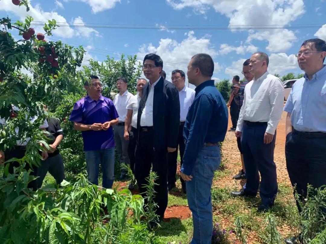 J9集团直营·(中国)官方网站