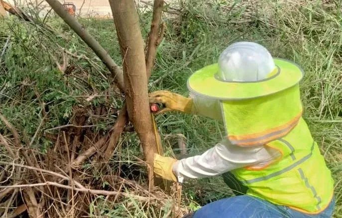 J9集团直营·(中国)官方网站