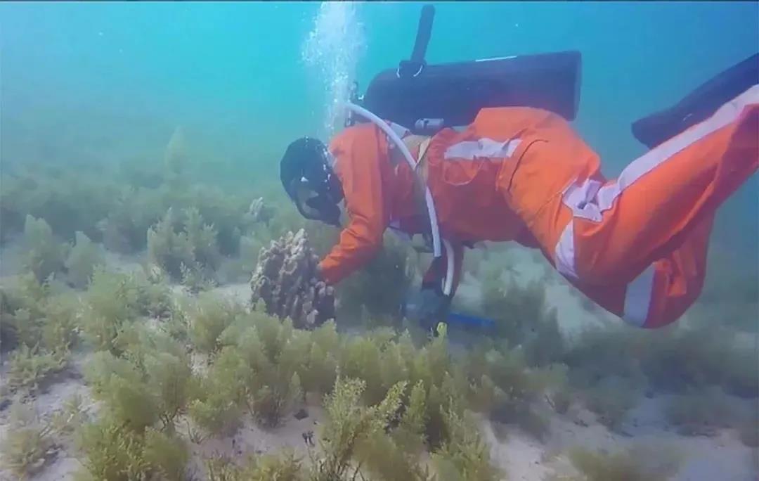 J9集团直营·(中国)官方网站